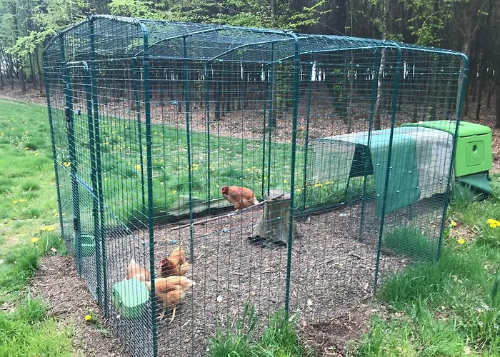 Dardennen 3* لاروش ان اردين